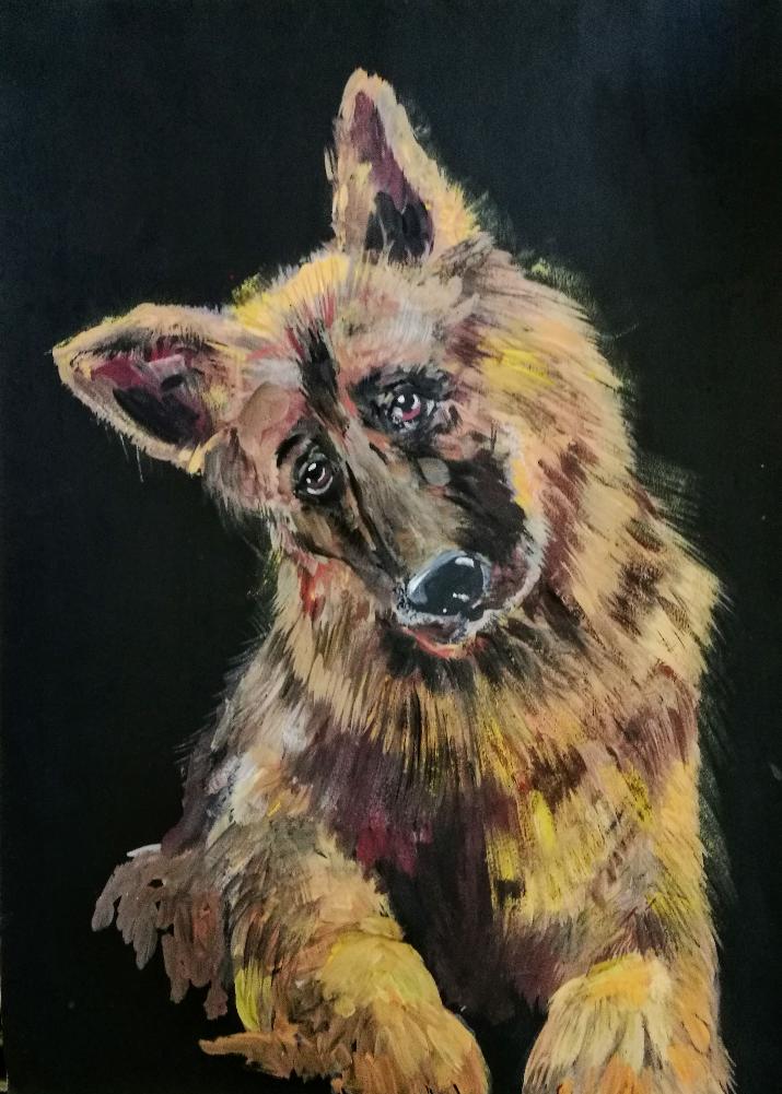 Картина Друг. Портрет овчарки. от Art Магазина Абрис Клуб