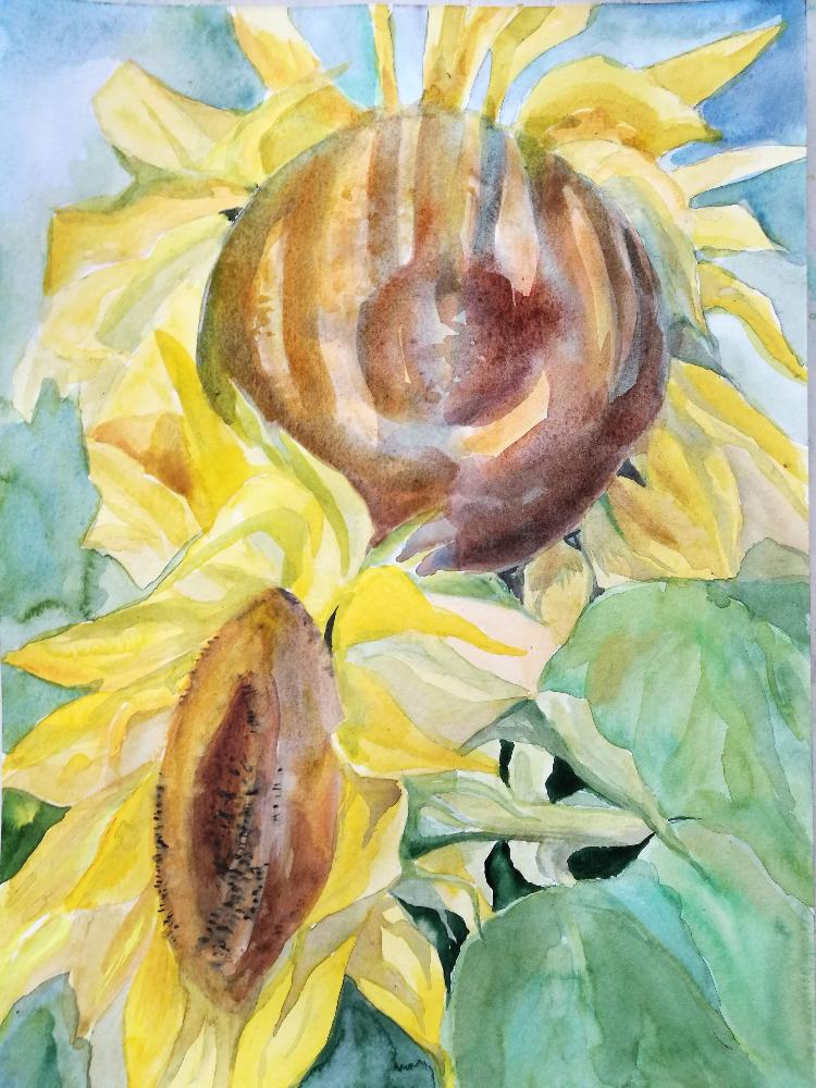 Картина Подсолнухи от Art Магазина Абрис Клуб